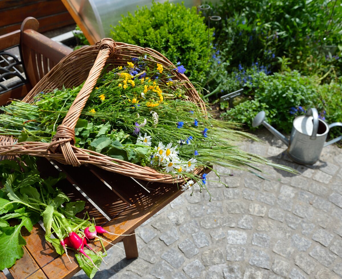 Schätze aus dem Garten | © Urlaub am Bauernhof Oberösterreich / Ralph Fischbacher Korb mit Blumen, Kräutern und Gemüse aus dem Garten | © Urlaub am Bauernhof Oberösterreich / Ralph Fischbacher