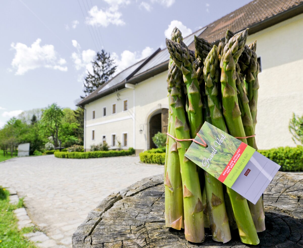 Grüner Spargel vom Nussböckgut | © Urlaub am Bauernhof Oberösterreich / Giordano Aita Grüner Spargel, frisch geerntet, im Hintergrund das Nussböckgut in Leonding, Zentralraum | © Urlaub am Bauernhof Oberösterreich / Giordano Aita