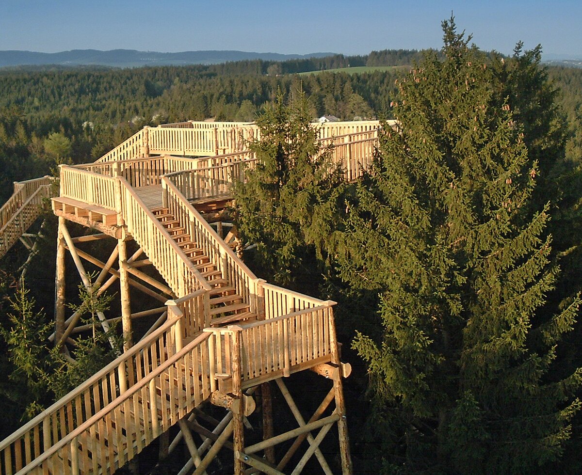 Baumkronenweg in Kopfing | © Oberösterreich Tourismus GmbH / Baumkronenweg Blick auf die Holzkonstruktionen am Baumkronenweg in Kopfing, Innviertel-Hausruckwald | © Oberösterreich Tourismus GmbH / Baumkronenweg