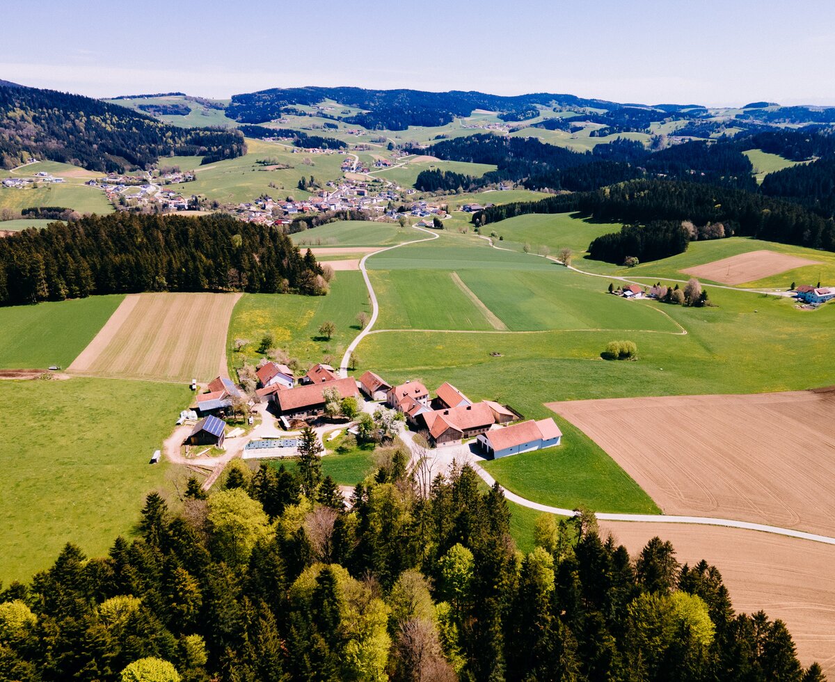 Biohof Stadler in Oberkappel, Mühlviertel | © Urlaub am Bauernhof Oberösterreich / Daniel Gollner