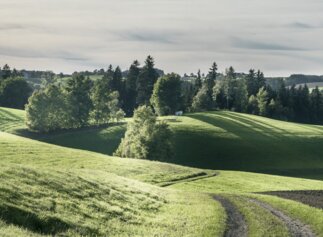 Granitpilgern im Mühlviertel | © Oberösterreich Tourismus GmbH / Andreas Balon Wanderweg Granitpilgern mit Blick auf die hügelige Landschaft des Mühlviertels | © Oberösterreich Tourismus GmbH / Andreas Balon