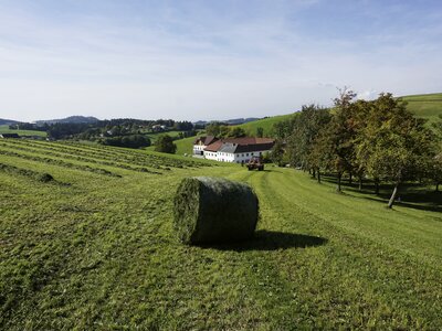 Siloballen liegt auf der Wiese am Löschgruberhof in Rechberg | © Urlaub am Bauernhof Oberösterreich / Harald Puchegger
