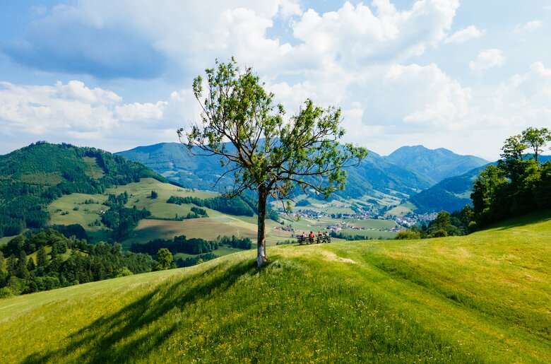 Traumhafte Aussicht im Sommer in der Nationalparkregion Kalkalpen | © Urlaub am Bauernhof Oberösterreich / Daniel Gollner