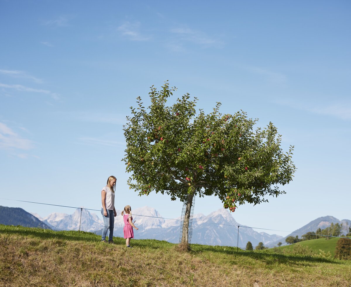 © Urlaub am Bauernhof / Alexander Kaiser Kind und Mutter stehen bei Apfelbaum | © Urlaub am Bauernhof / Alexander Kaiser