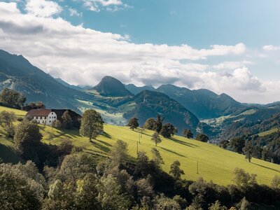 Kräuterhof Miesrigl in Losenstein | © Urlaub am Bauernhof Oberösterreich / Viktoria Urbanek Kräuterhof Miesrigl in Losenstein, Nationalparkregion Kalkalpen | © Urlaub am Bauernhof Oberösterreich / Viktoria Urbanek