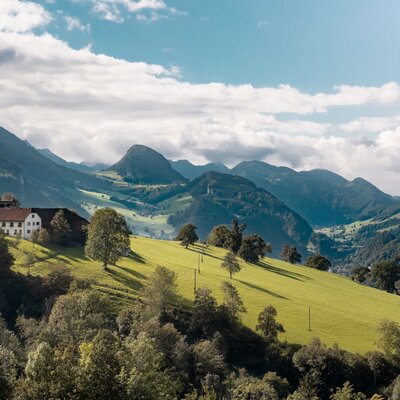 Kräuterhof Miesrigl in Losenstein, Nationalparkregion Kalkalpen | © Urlaub am Bauernhof Oberösterreich / Viktoria Urbanek