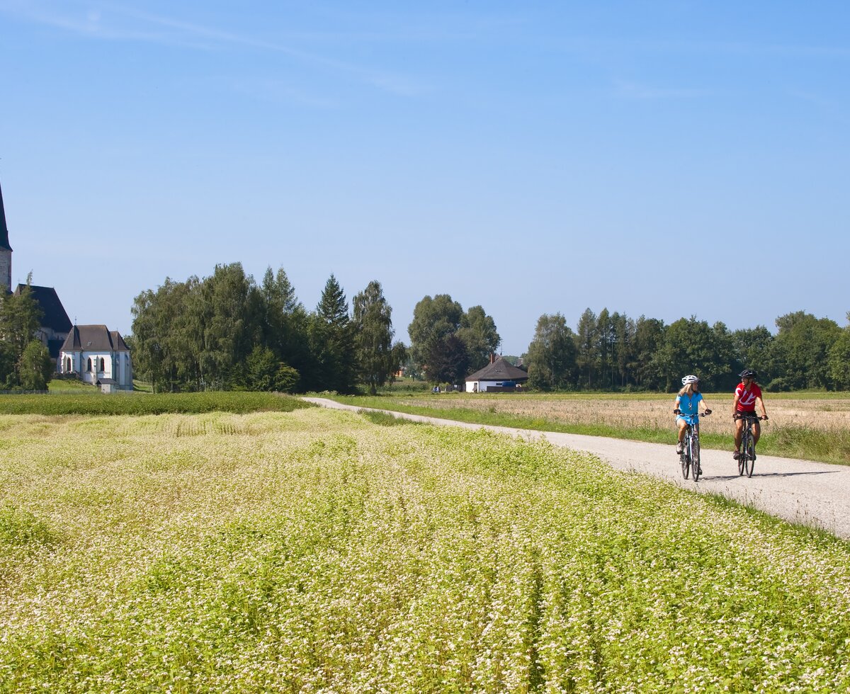 Zwei Radler auf dem Römerradweg, Zentralraum | © Oberösterreich Tourismus GmbH / Hermann Erber