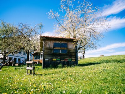 Bienenhütte mitten in der Natur | © Urlaub am Bauernhof Oberösterreich / Daniel Gollner Bienenhütte mitten in der Natur | © Urlaub am Bauernhof Oberösterreich / Daniel Gollner