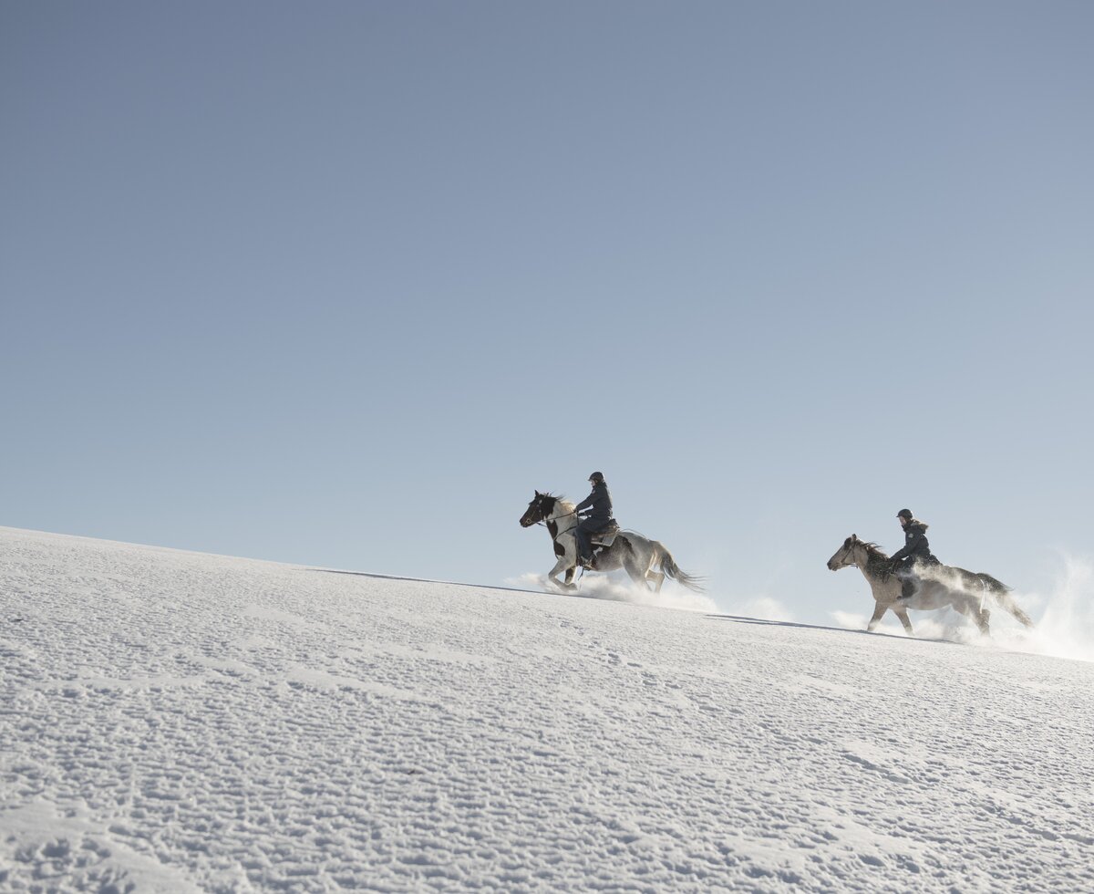 Winterreiten im Pferdereich Mühlviertler Alm | © Oberösterreich Tourismus GmbH / David Lugmayr Zwei Pferde galoppieren durch den Schnee im Pferdereich Mühlviertler Alm, Mühlviertel | © Oberösterreich Tourismus GmbH / David Lugmayr