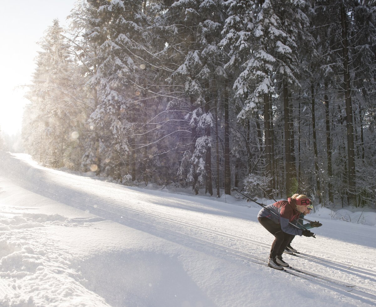 Langlaufen im Böhmerwald | © Oberösterreich Tourismus GmbH / David Lugmayr Zwei Frauen sind am Langlaufen im Böhmerwald, Mühlviertel | © Oberösterreich Tourismus GmbH / David Lugmayr