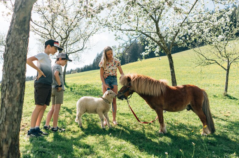 Kinder mit Schaf und Pony | © Urlaub am Bauernhof / Daniel Gollner
