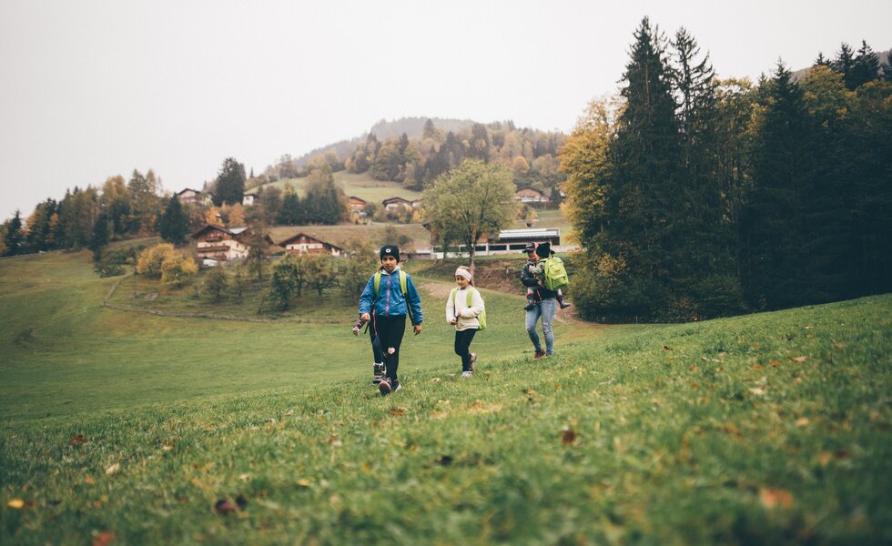 Wanderer in farbenfroher Herbstlandschaft, über Wiesen und Felder schlendernd, begleitet von hohen Bäumen und Häusern im Hintergrund. | © Urlaub am Bauernhof / Daniel Gollner