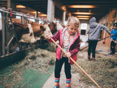 Ein kleines Mädchen in bunter Kleidung, das eine Mistgabel in einem Stall mit Kühen und Schafen hält, während andere Personen im Hintergrund bei der Arbeit sind. | © Urlaub am Bauernhof / Daniel Gollner