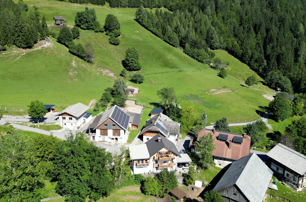 Idyllische Hügellandschaft mit grünen Wiesen, Wäldern und malerischen Bergdörfern mit traditionellen Holzhäusern, umgeben von sanften Erhebungen. | © Urlaub am Bauernhof / Daniel Gollner