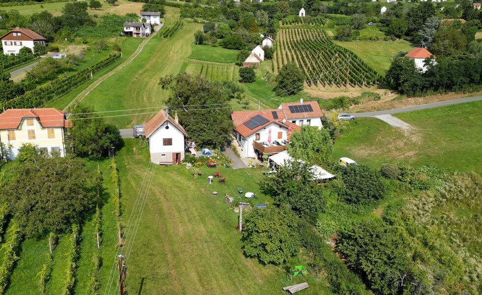 Eine malerische Landschaft mit Weinbergen, Obstgärten, Wohnhäusern und kleinen Gebäuden umgeben von üppiger Vegetation. Der Blick vom Hügel lässt eine idyllische ländliche Szenerie erkennen. | © Urlaub am Bauernhof / Daniel Gollner