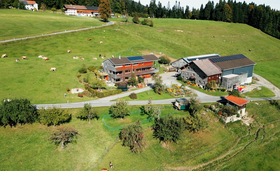 Ein ländliches Anwesen in einer Hügellandschaft mit Wiesen, Bäumen und Gebäuden - ein gemütliches Landgut mit Ferienwohnungen, Gewächshaus und Tierweiden. | © Urlaub am Bauernhof / Daniel Gollner