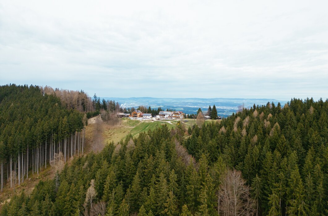 Eine bergige Landschaft mit dichten Wäldern, durchbrochen von Wohnhäusern und Hütten am Hang. Am Horizont ist eine leicht bewölkte, helle Ferne zu erkennen.