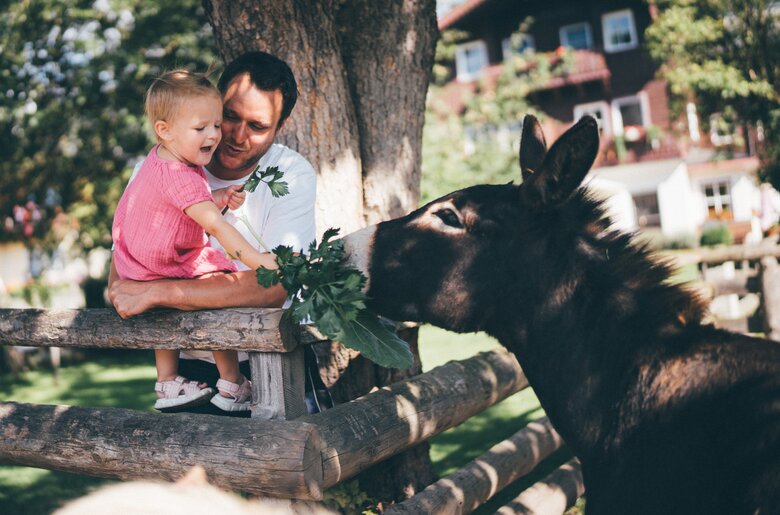 Kind mit Papa fuettert Esel | © Urlaub am Bauernhof / Daniel Gollner Ein Mann umarmt ein kleines Mädchen an einem Holzzaun, während ein Esel daneben steht und Grünpflanzen frisst. Die ländliche Umgebung mit Gebäuden im Hintergrund deutet auf eine ruhige, bukolische Szene hin. | © Urlaub am Bauernhof / Daniel Gollner