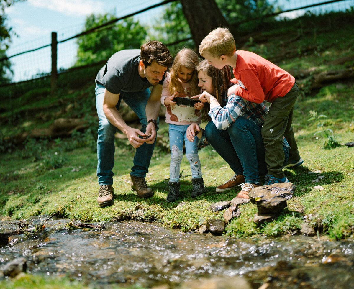 Eine Gruppe von Menschen, wahrscheinlich eine Familie, erkundet gemeinsam eine natürliche Umgebung mit einem Bach und üppiger Vegetation. Sie scheinen konzentriert auf etwas zu schauen, das sie entdeckt haben. | © Urlaub am Bauernhof / Daniel Gollner 