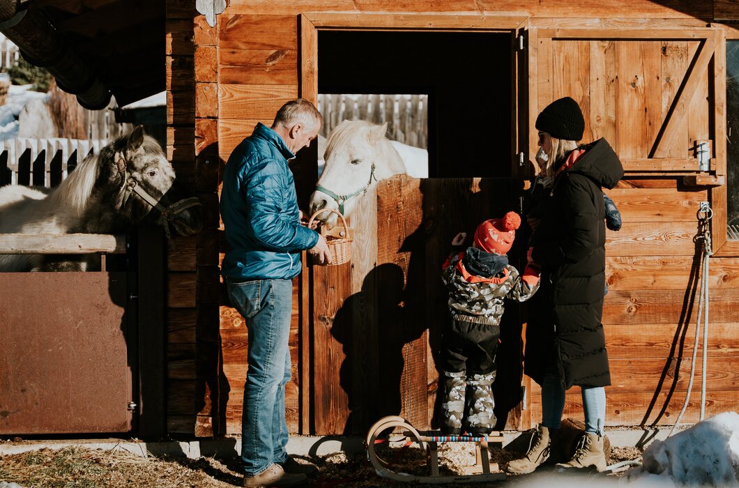 Familie beim Streicheln von Pferden vor einer Holzbox im Hof, im Winter gekleidet.