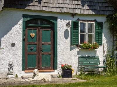 Hund liegt vor alter Eingangstür | © Urlaub am Bauernhof Österreich / Bernd Suppan ein weißer Hund liegt vor einer alten Eingangstür | © Urlaub am Bauernhof Österreich / Bernd Suppan