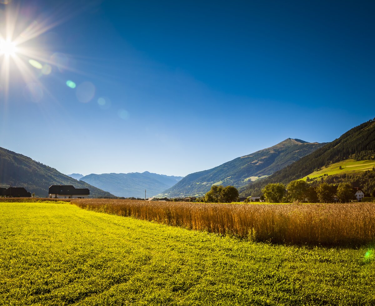Scenic countryside with lush green fields, a barn, and mountains under a bright sunlit sky. | © Urlaub am Bauernhof / Bernd Suppan