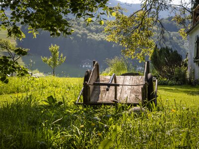 alter Milchwagen in der Wiese am Hof | © Urlaub am Bauernhof Österreich / Bernd Suppan
