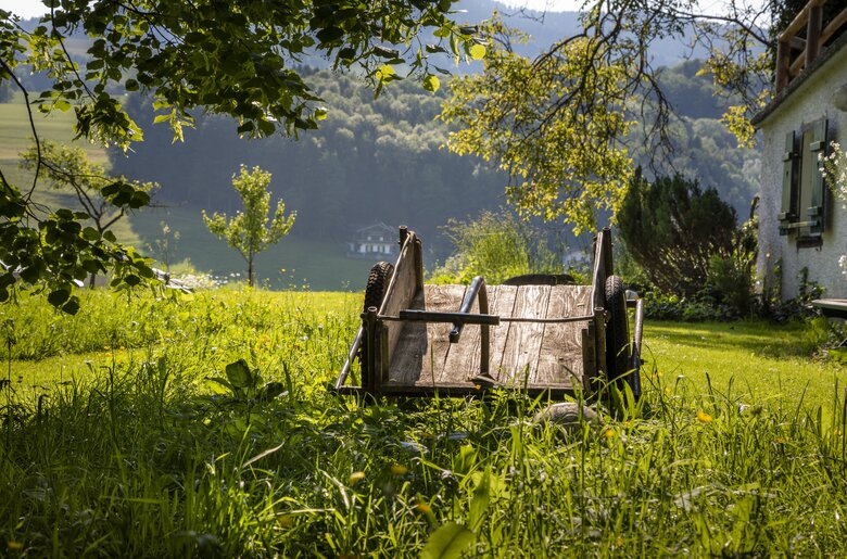 alter Milchwagen in der Wiese am Hof | © Urlaub am Bauernhof Österreich / Bernd Suppan