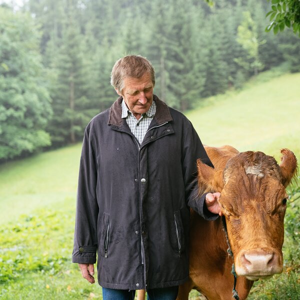 Der Gastgeber vom Bauernhof Morgenbesser bei den Kühen | © Daniel Gollner / Urlaub am Bauernhof