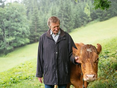 Gastgeber auf Kuhweide | © Daniel Gollner / Urlaub am Bauernhof Der Gastgeber vom Bauernhof Morgenbesser bei den Kühen | © Daniel Gollner / Urlaub am Bauernhof