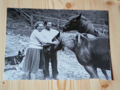 Altes Foto vom Hof | © Daniel Gollner / Urlaub am Bauernhof Altes Foto mit Pferden in schwarz-weiß vom Bauernhof Morgenbesser | © Daniel Gollner / Urlaub am Bauernhof