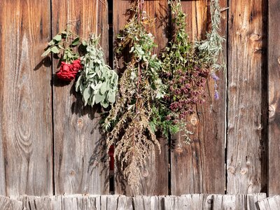 getrocknete Blumen an der Wand einer Holzhütte | © Urlaub am Bauernhof getrocknete Blumen hängen an der Wand einer Holzhütte | © Urlaub am Bauernhof