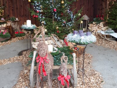 geschmückter Christbaum in kleiner Holzhütte | © Urlaub am Bauernhof geschmückter Christbaum in kleiner Holzhütte mit Dekoration | © Urlaub am Bauernhof