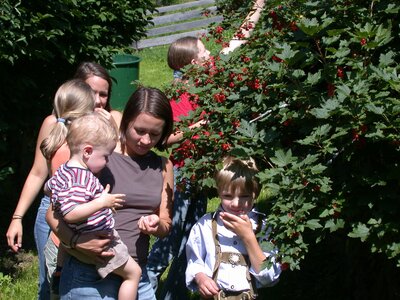 Kinder bei den frischen Beeren | © Karin Schabus Kinder bei den frischen Beeren | © Karin Schabus