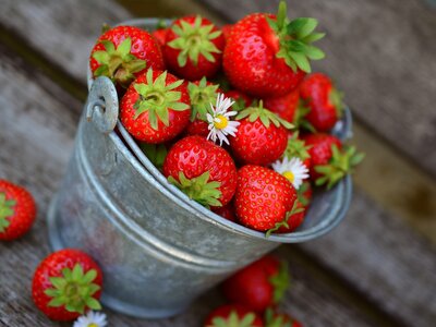 Erdbeeren | © Pixabay Erdbeeren in Metalleimer mit Blume | © Pixabay