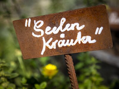 Seelenkräuter am Kräuterhof Herzoghof in Leongang, SalzburgerLand | © Urlaub am Bauernhof Österreich / Bernd Suppan Seelenkräuter am Kräuterhof Herzoghof in Leongang, SalzburgerLand | © Urlaub am Bauernhof Österreich / Bernd Suppan