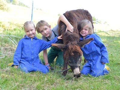Drei Kinder in Stalloveralls knien neben einem Esel | © Claudia Tschurtschenthaler