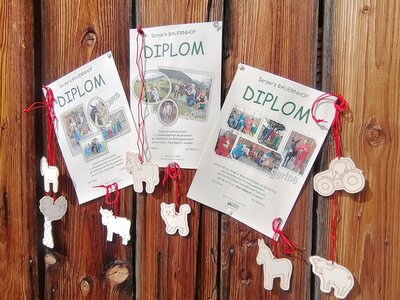 Diplomurkunden auf Holzwand | © Claudia Tschurtschenthaler Diplomurkunden und Deko hängen an Holzwand | © Claudia Tschurtschenthaler