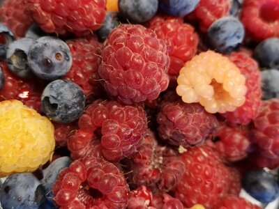 Frische Beeren | © Urlaub am Bauernhof / Schmidhofer Frische Beeren vom Kleinhofers Himbeernest | © Urlaub am Bauernhof / Schmidhofer