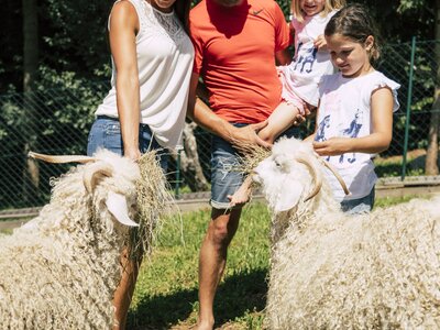Familie bei Ziegen | © Urlaub am Bauernhof / Oststeiermark Tourismus / Bernhard Bergmann Familie bei den Ziegen am Kleinhofers Himbeernest | © Urlaub am Bauernhof / Oststeiermark Tourismus / Bernhard Bergmann