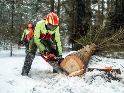 Bauer schneidet Baum im Wald | © Urlaub am Bauernhof / Daniel Gollner Bauer schneidet mit Motorsäge einen Baum im Wald | © Urlaub am Bauernhof / Daniel Gollner