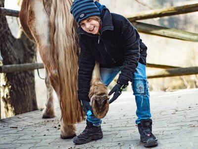 Bub hebt Hinterfuss von Pferd | © Urlaub am Bauernhof Österreich / Ludwig