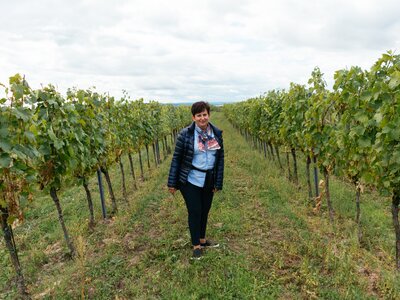Dorothea in den Weinreben | © Urlaub am Bauernhof / Daniel Gollner