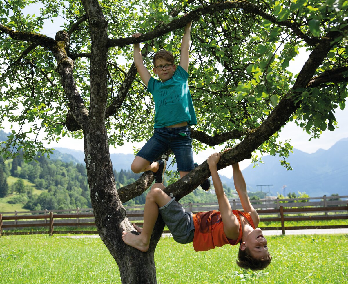 Buben bei Baumklettern | © Urlaub am Bauernhof / Punkt und Komma Buben klettern auf einen Baum | © Urlaub am Bauernhof / Punkt und Komma