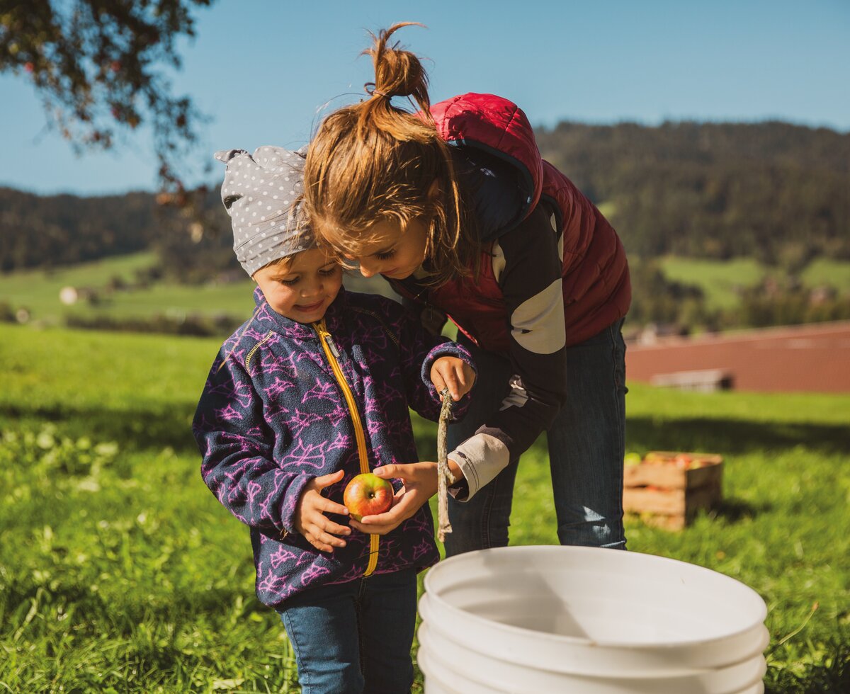 Kinder bei der Apfelernte | © Urlaub am Bauernhof in Österreich / Pascal Baronit Zwei Kinder bei der Apfelernte mit Apfel in der Hand im Herbst | © Urlaub am Bauernhof in Österreich / Pascal Baronit