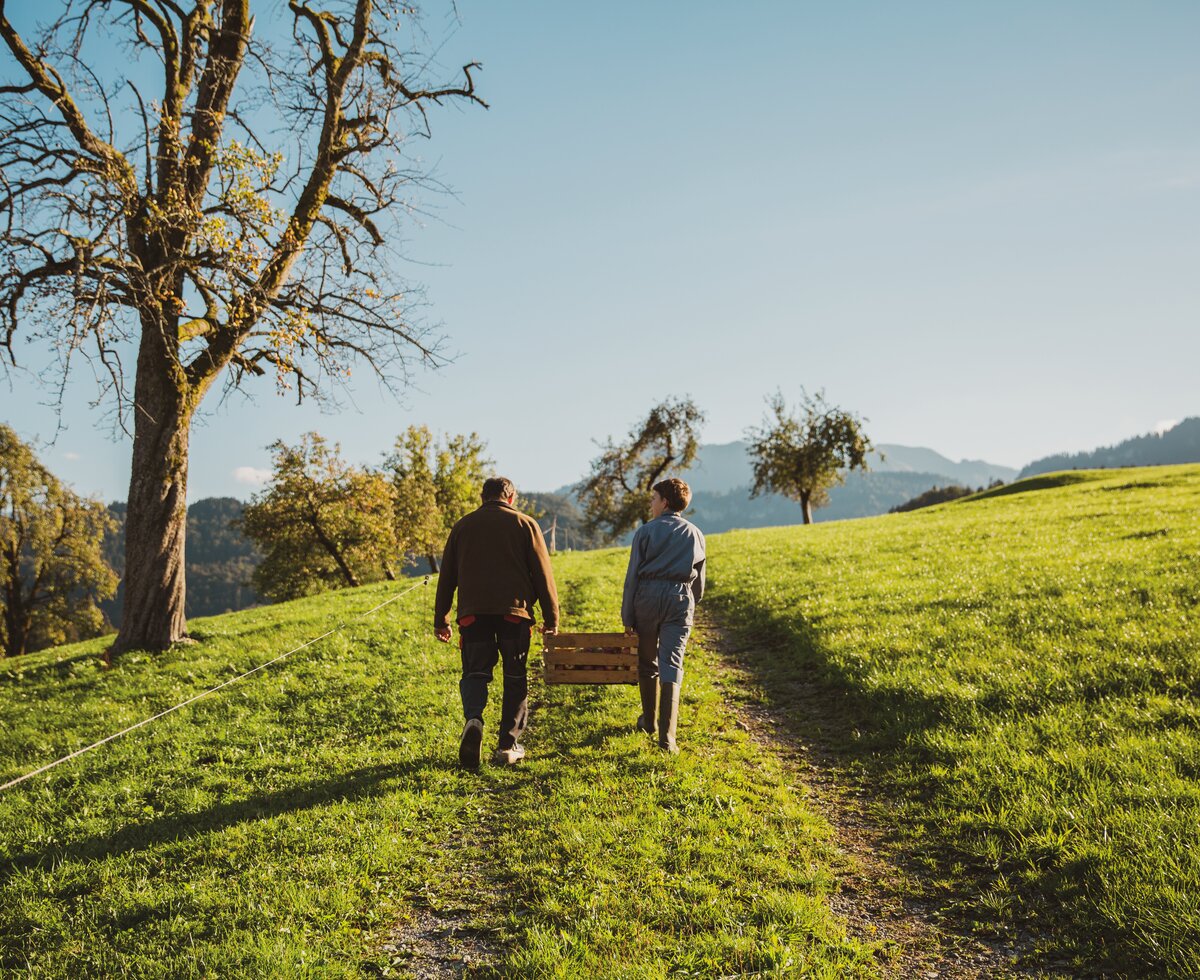 Bauer und Bub bei der Apfelernte  | © Urlaub am Bauernhof in Österreich / Pascal Baronit