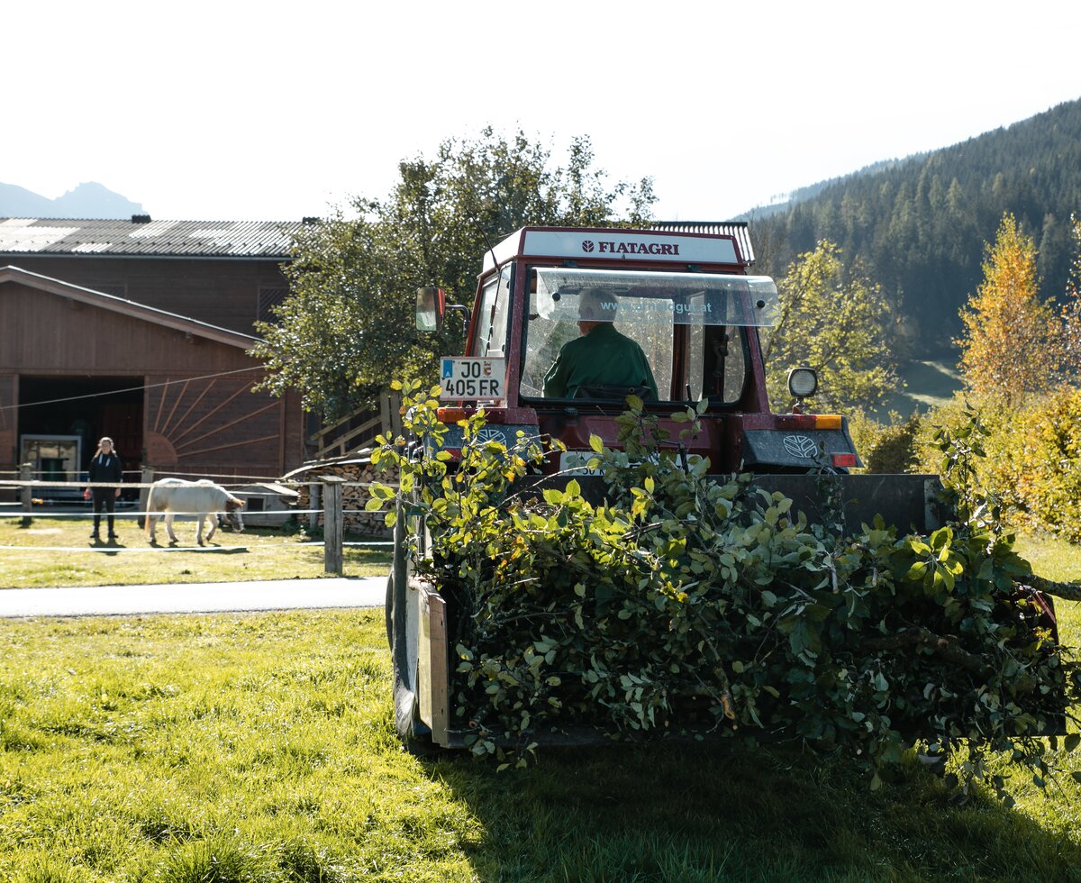 Altbauer am Traktor | © Urlaub am Bauernhof Tirol Altbauer am Traktor | © Urlaub am Bauernhof Tirol