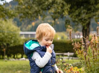Bub beim Himbeeren naschen | © Urlaub am Bauernhof / Punkt und Komma Bub beim Himbeeren naschen | © Urlaub am Bauernhof / Punkt und Komma