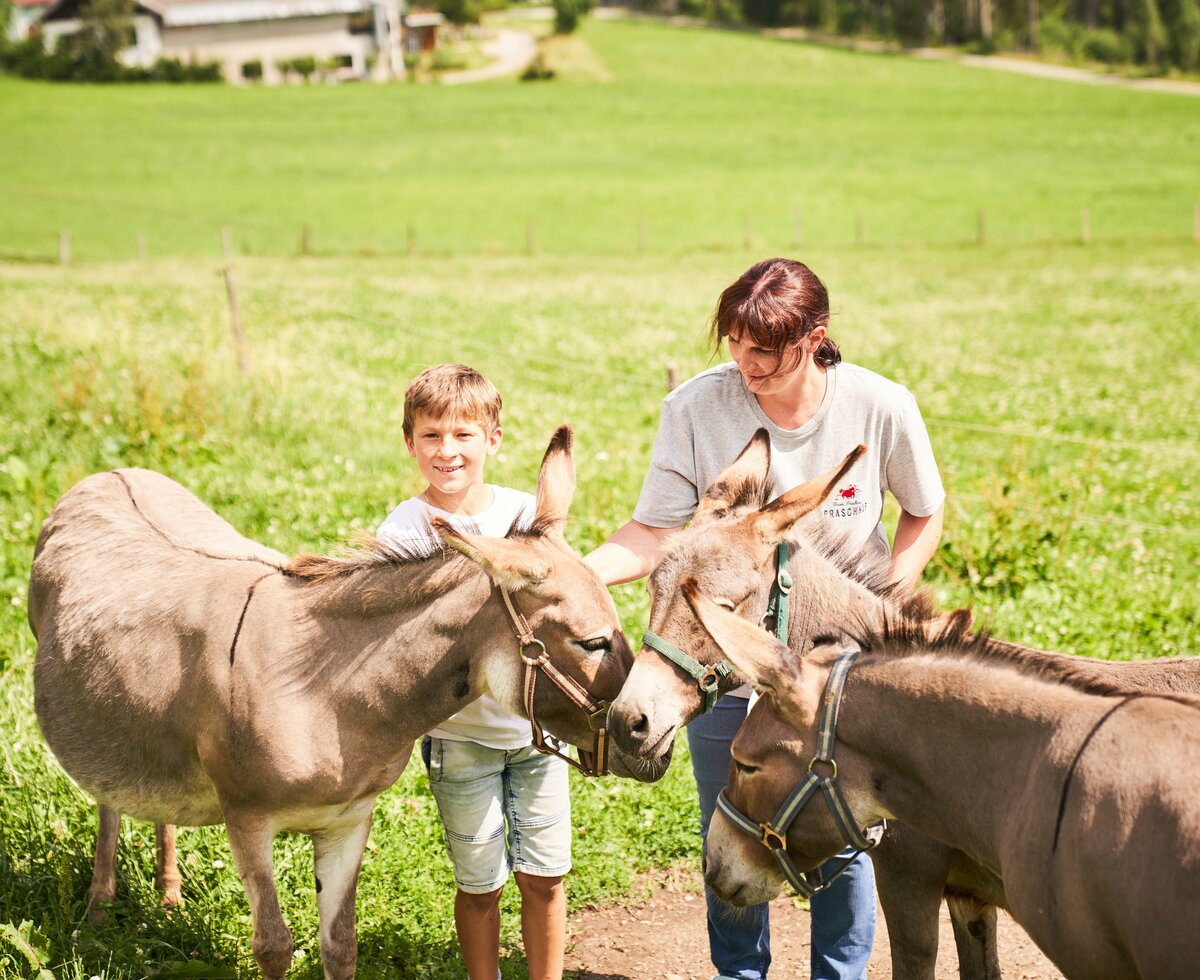 Kind und Frau mit Esel | © Urlaub am Bauernhof / Punkt und Komma Kind und Frau mit einem Esel | © Urlaub am Bauernhof / Punkt und Komma