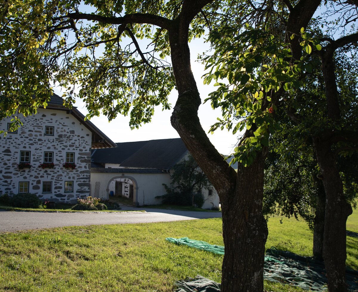 Außenansicht Verwoehnbauernhof Muehlviertel | © Urlaub am Bauernhof / Punkt und Komma Außenansicht Verwoehnbauernhof Muehlviertel | © Urlaub am Bauernhof / Punkt und Komma